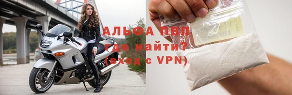 прущие грибы Гусев