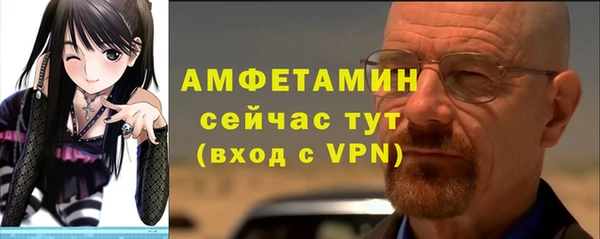 прущие грибы Гусев