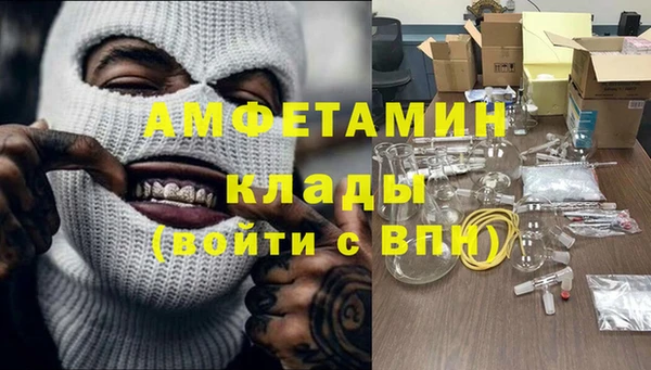 прущие грибы Гусев