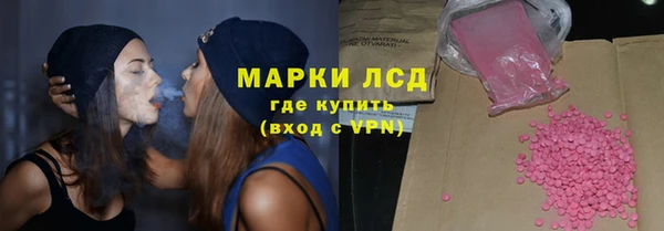 прущие грибы Гусев