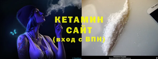 прущие грибы Гусев