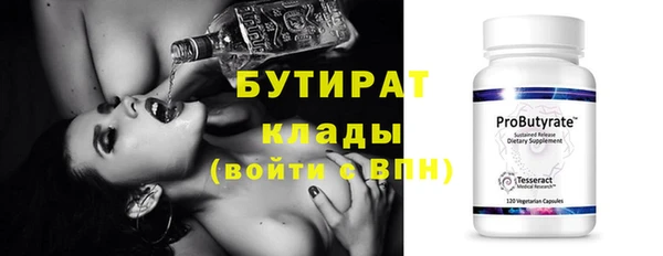 прущие грибы Гусев