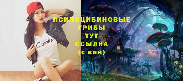 mdpv Дмитриев