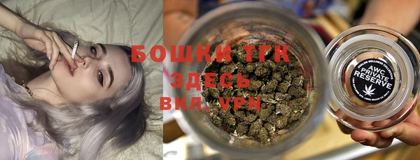 прущие грибы Гусев